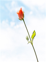 һ��ʫ�⾡��������ȫ�½�30���Ķ�