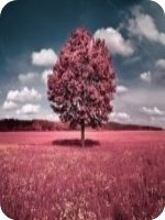 ������������ѩС˵��6��7������ȫ�������Ķ�