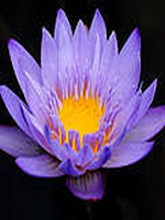 һϦ��ŵ��ʱ��С˵��֮ĩĪ�ϳ���66��ȫ������Ķ�