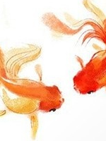 ���������֮����ˮ������С˵��36��ȫ���½���������Ķ�