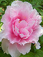 ��Ļ�����ɱ��С˵��˾�ŵ����22��ȫ������Ķ�