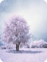 Ů��ѧ�����ʱ��������������ѩС˵��60��ȫ�������Ķ���ַ