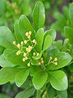 ��Ļ�����ɱ��С˵��˾�ŵ����16��ȫ������Ķ�