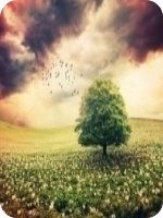 ������������������13��14�������½������Ķ�