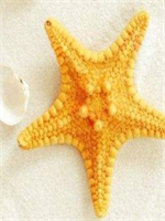 ��������������������Ҷ����������С˵��18��ȫ���½���������Ķ�