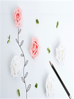 һ������������18��ȫ�������½������Ķ�