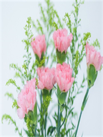 һ������������������ȫ���½������Ķ�16�½�