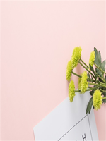 ����һ������һ��������ȫ�½������Ķ�15�½�