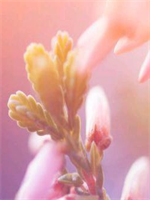 �������������ҽ��������������23��ȫ���½���������Ķ�