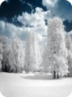 �ճ�����������30��31��ȫ�������½��Ķ�