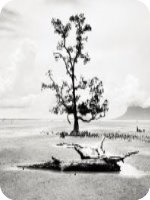 �ճ�����������26��27������ȫ�������Ķ�