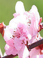 ���ܱ��������С˵��ҽ����ҽ�����źͶ����22��ȫ������Ķ�