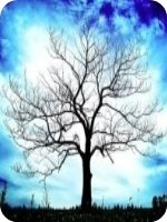 ��÷������ǿ��˪С˵��12��13��ȫ�������½��Ķ�