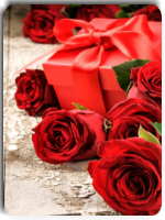 ��������ڶ���(һ�ʷ����С˵)21��ȫ����������Ķ�