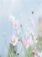 �ҵ�ƫִ���Ϲ�������ȫ�½������Ķ�25�½�