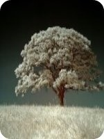 �ĳ������շ��Ϻ�С˵��36��ȫ�������Ķ�