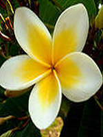 ���ܻ�԰С�Ǻ����С�Ǻ���С˵38�½�����ȫ���Ķ�