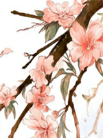 13214С�Ǻ��������С˵������33��ȫ�½������Ķ�