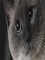 13258�ų�����С˵86��������ȫ�������Ķ�