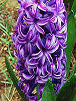 13214С�Ǻ���С˵�����С˵45�½�����ȫ�������Ķ�