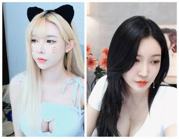 ������Ƶapp�޸Ĳ��޴�������Ѱ�